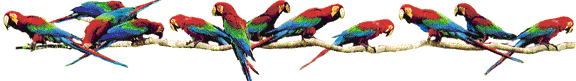macaws2.gif